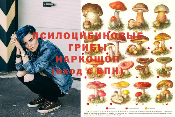 ПСИЛОЦИБИНОВЫЕ ГРИБЫ Краснослободск