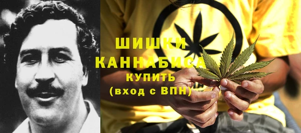 ПСИЛОЦИБИНОВЫЕ ГРИБЫ Краснослободск