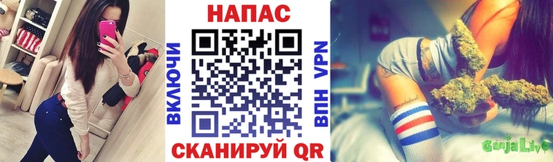 Конопля AK-47  Купить закладки  Боровичи 